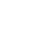 Proven Global Project Experience
